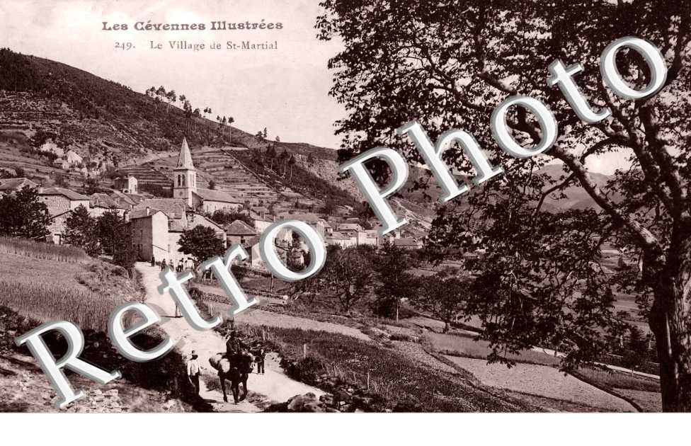 vue générale