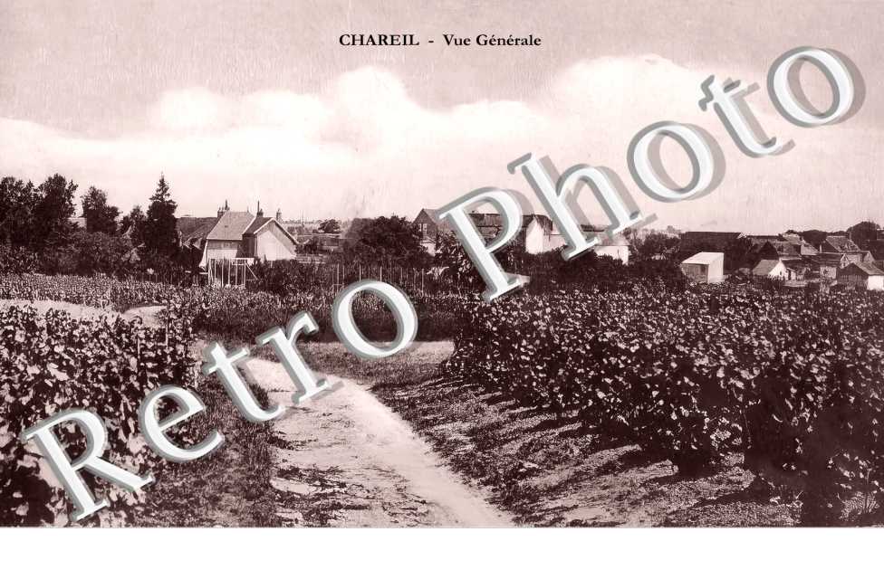 vue générale