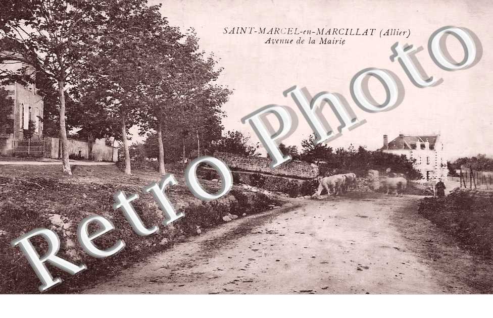 avenue de la Mairie