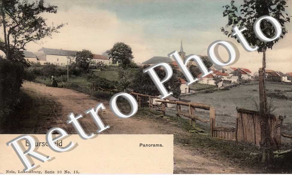 panorama