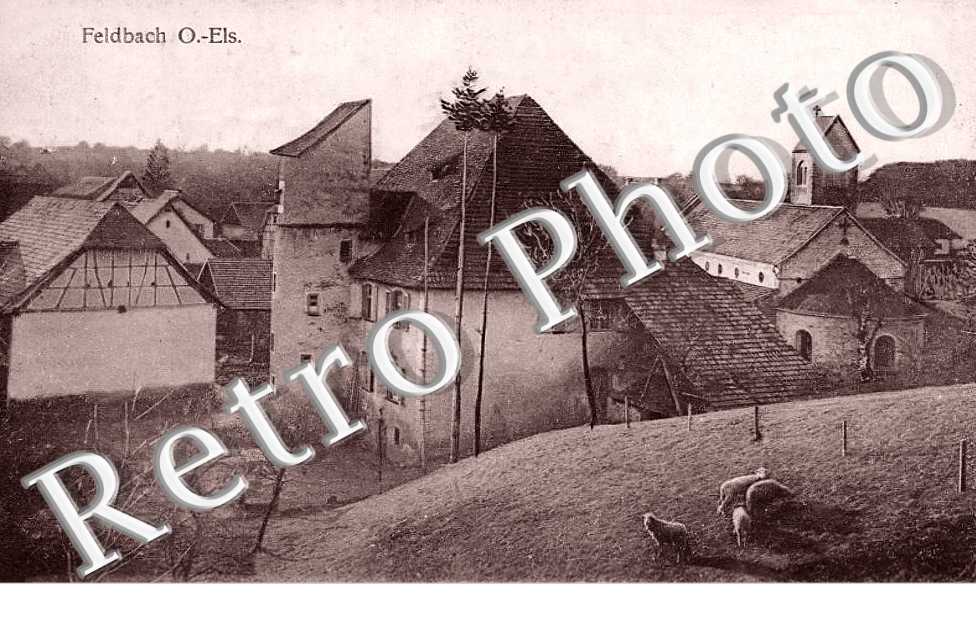 vue générale