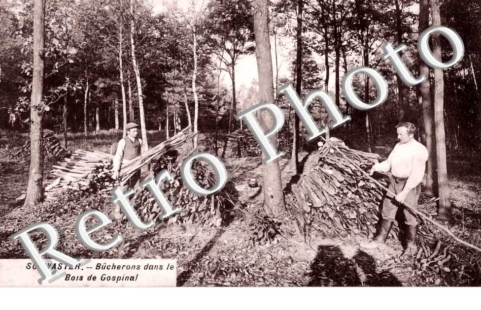 Solwaster. Bûcherons dans le Bois de Gospinal