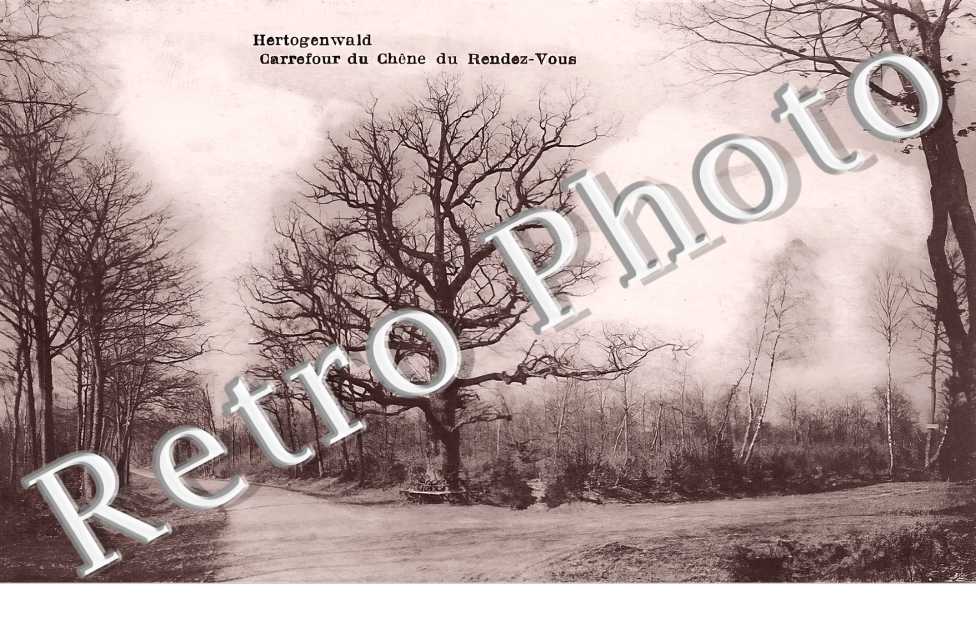 Hertogenwald.Carrefour du Chêne du Rendez-Vous