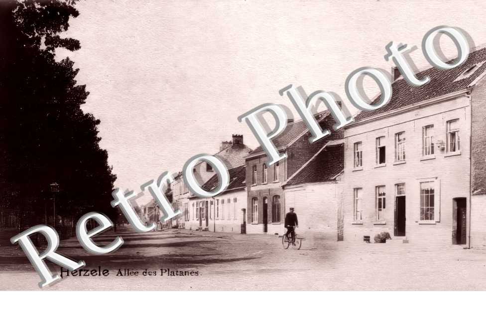 allée des Platanes