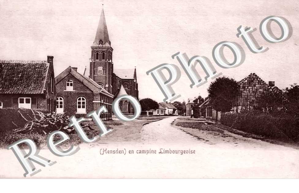 Henseden en campine Limbourgeoise