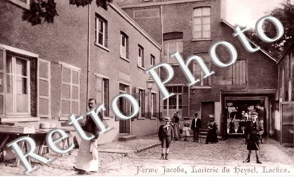 Ferme Jacobs, Laiterie du Heysel, Laeken