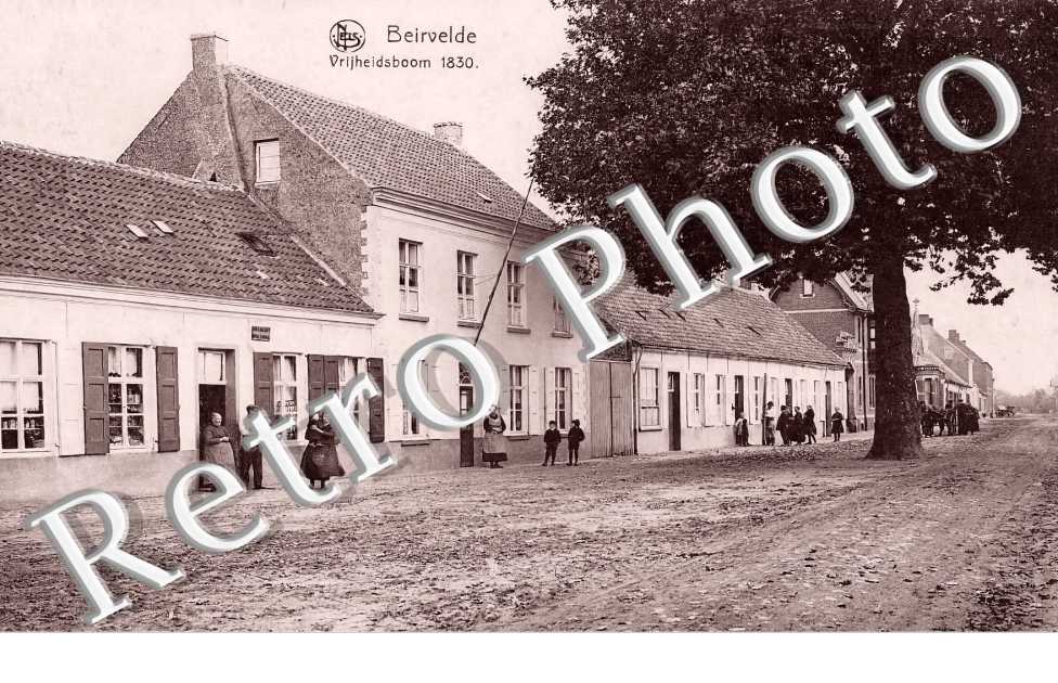 Beirvelde. Vrijheidsboom