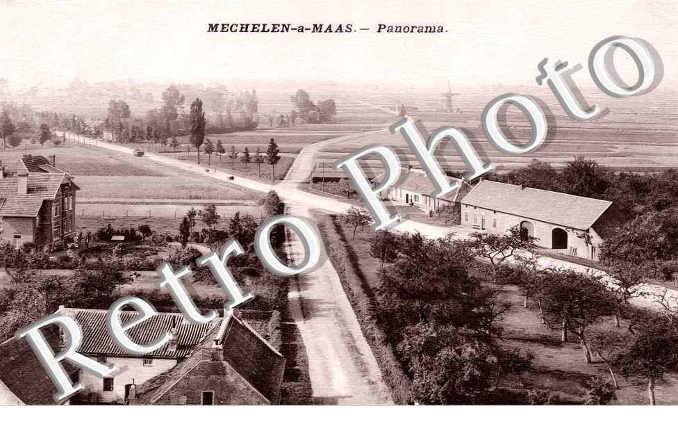 panorama