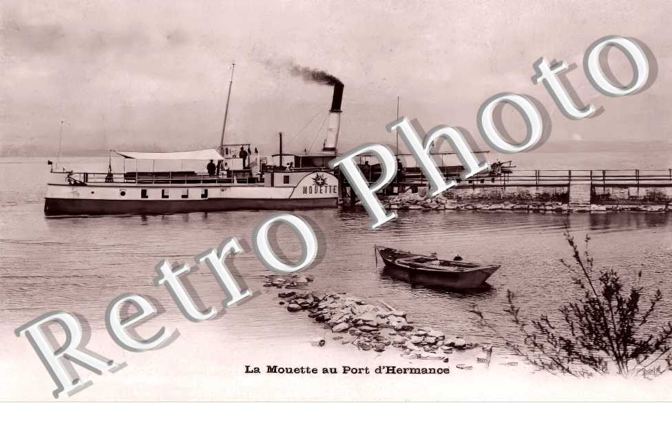 La Mouette au Port