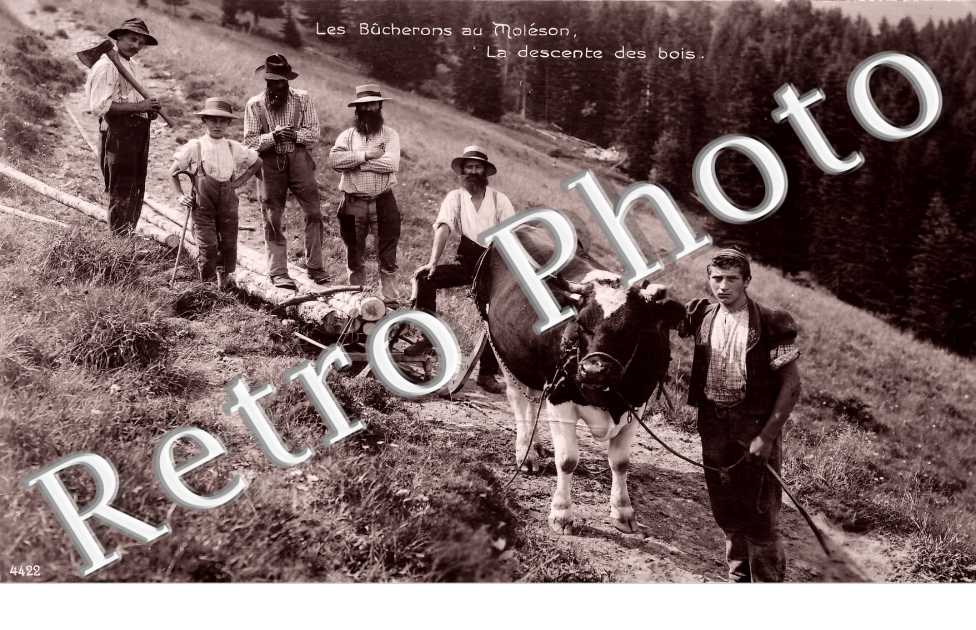 Les bûcherons au Moléson. La descente des bois