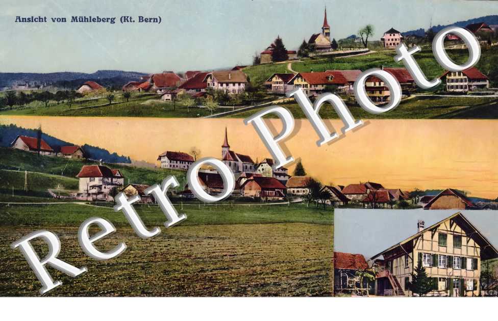 vue générale