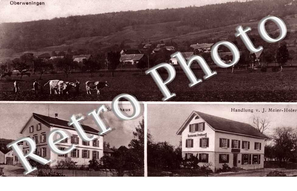 Schulhaus. Handlung v. J. Meier-Holer