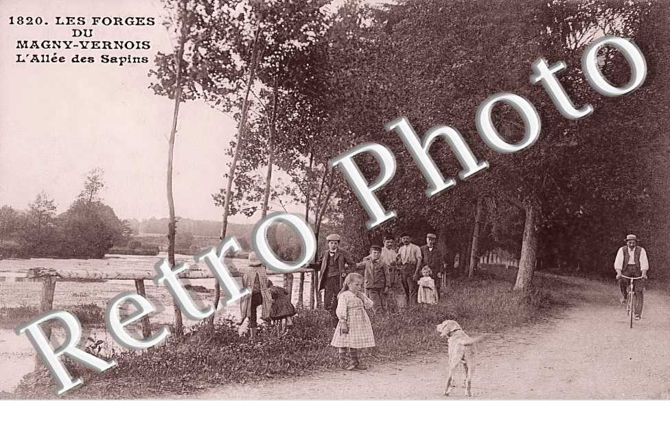 les Forges du Magny-Vernois. L&#039;allée des sapins