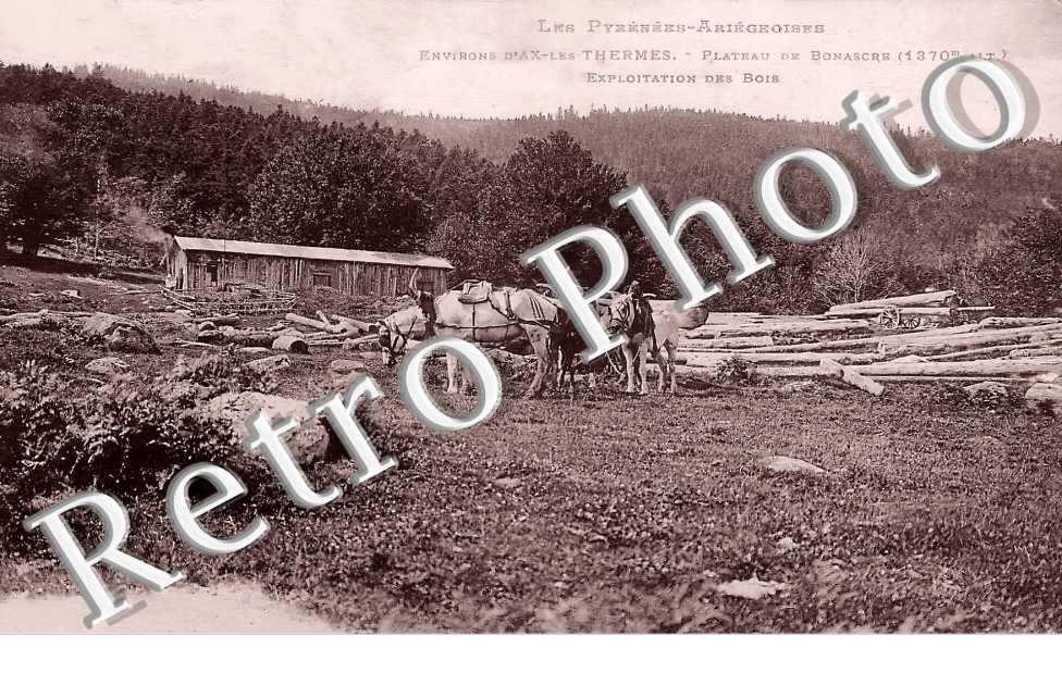 Plateau de Bonascre. Exploitation des bois