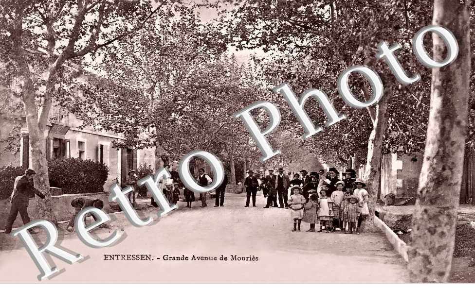 Entressen. Grande avenue de Mouriès