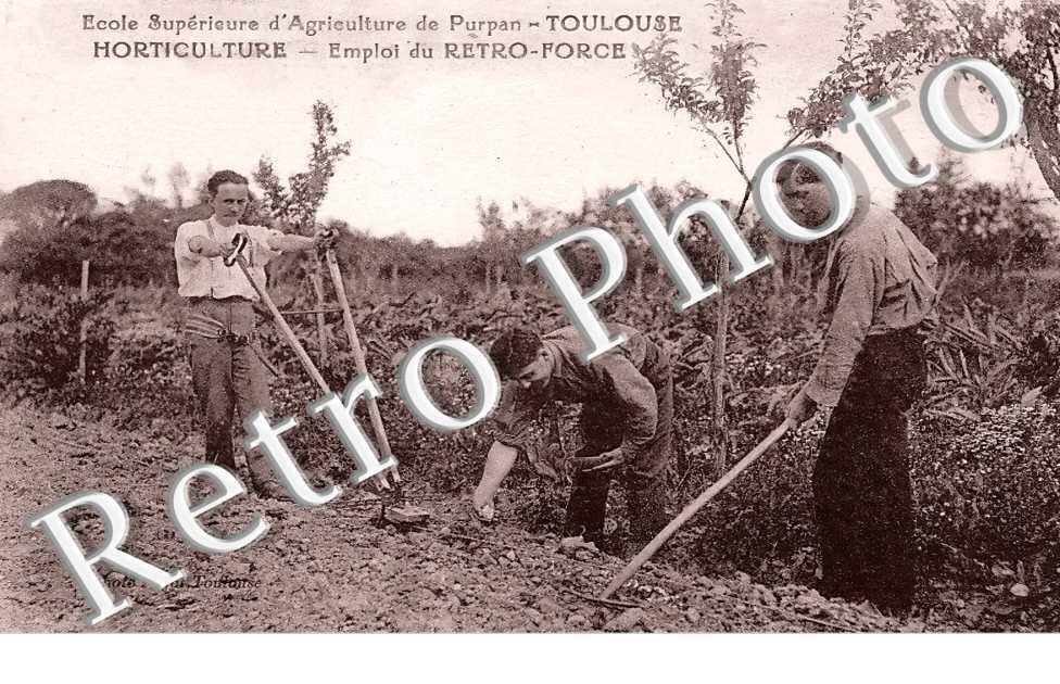 Institut Catholique. Ecole supérieure d'agriculture. Purpan. Emploi du Retro-Force