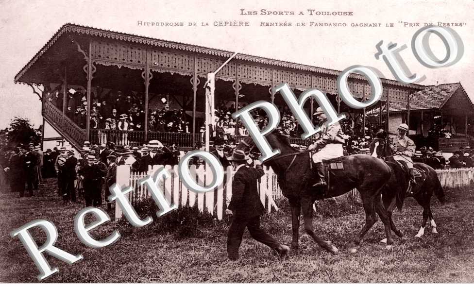 Hippodrome de la Cepière. rentrée de Fandango