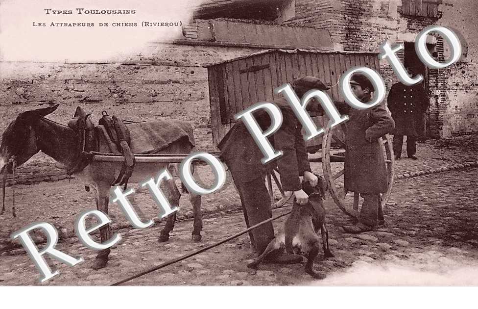 les attrapeurs de chiens (Rivierou)