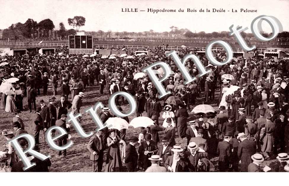 Hippodrome du Bois de la Deûle. La pelouse
