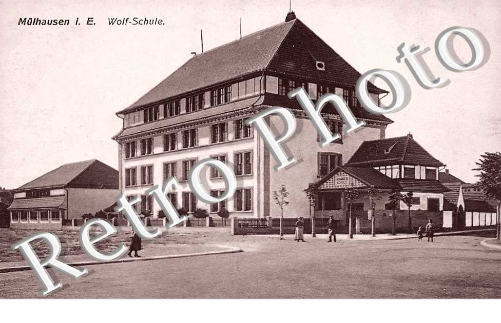 Wolf-Schule