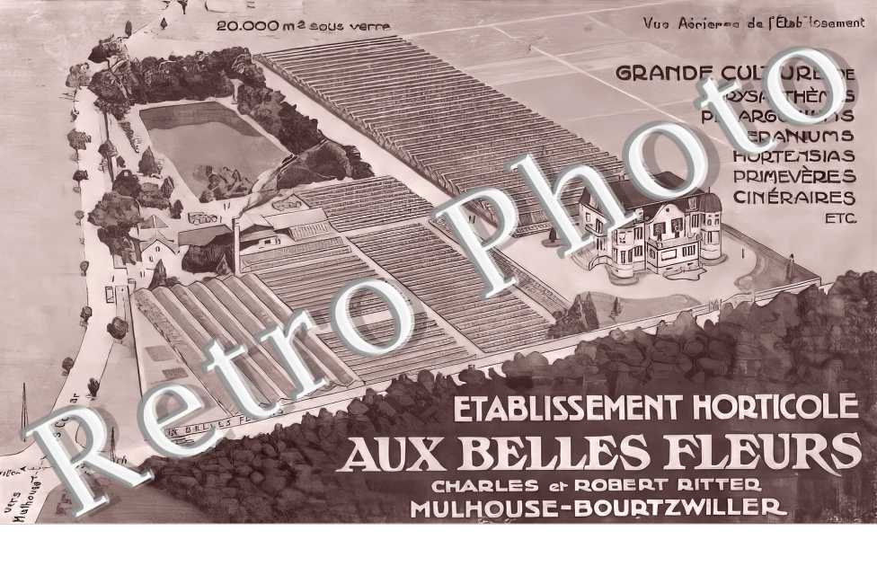 Etablisssement Horticole Aux Belles Fleurs Charles et Robert Ritter. BOURTZWILLER