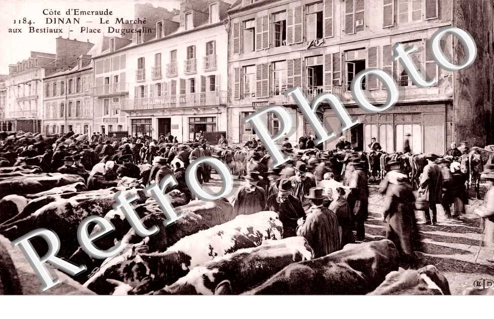 Le Marché aux Bestiaux. Place Duguesclin