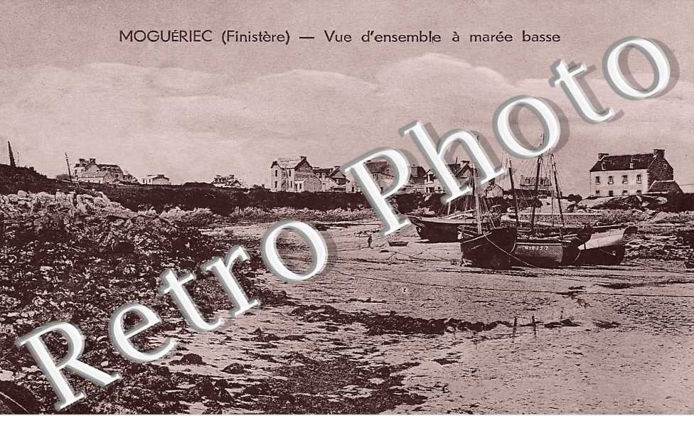MOGUERIEC.  Vue d&#039;ensemble