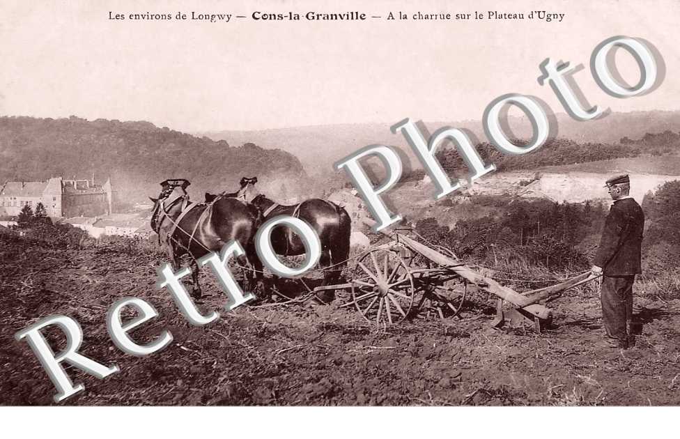 A la charrue sur le plateau d'Ugny