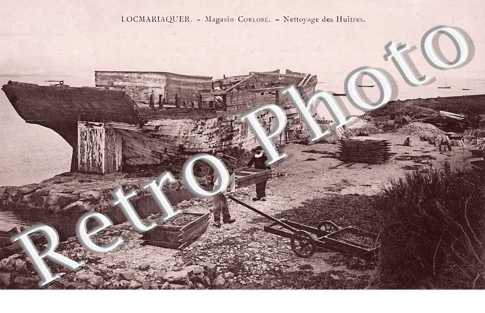 Magasin Corlobé. Nettoyage des huitres