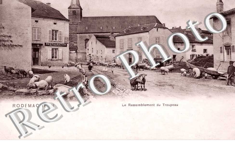 le rassemblement du Troupeau