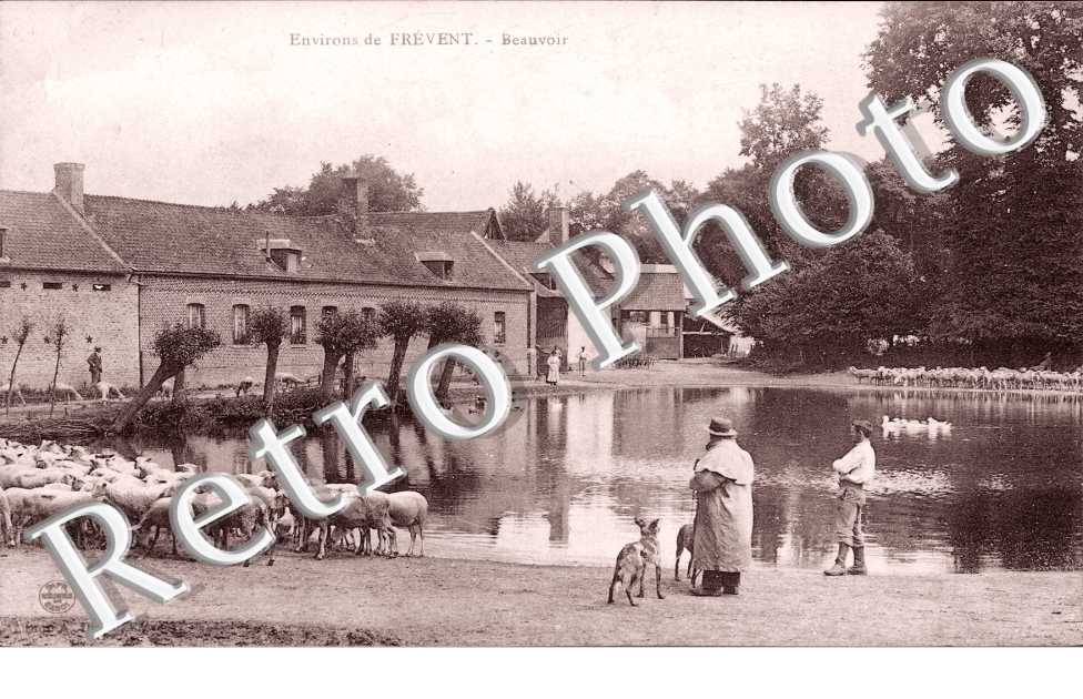 la mare