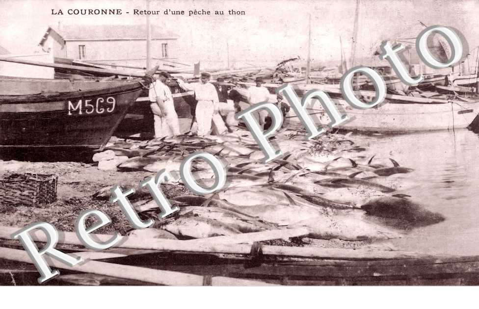 la Couronne. Retour de pêhce au thon