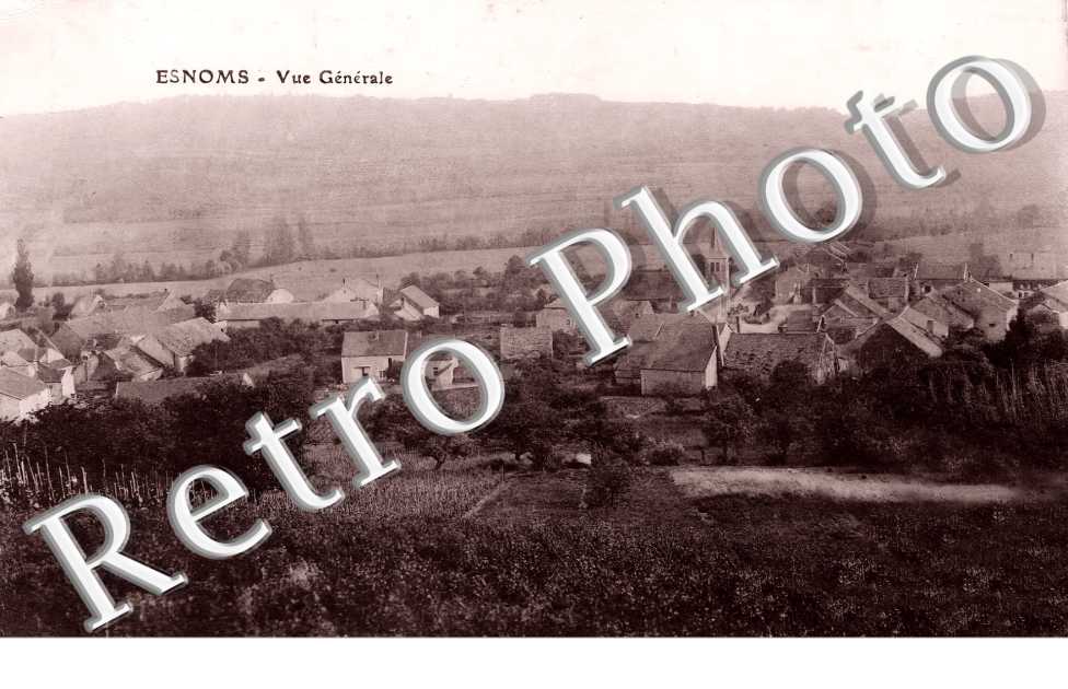 vue d&#039;ensemble