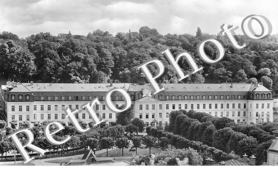le lycée