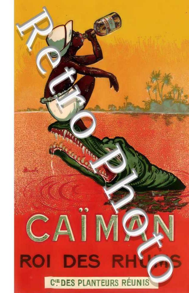 Caïman Roi des Rhums