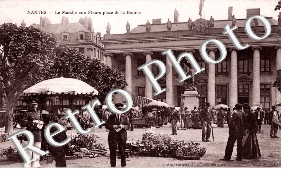le marche aux fleurs place de la bourse