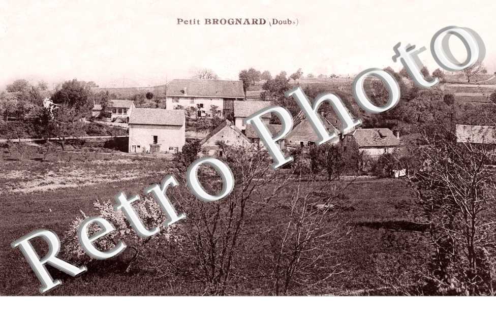 Petit Brognard