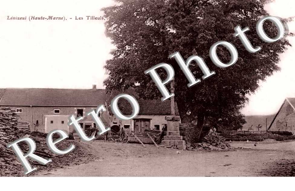 les Tilleuls