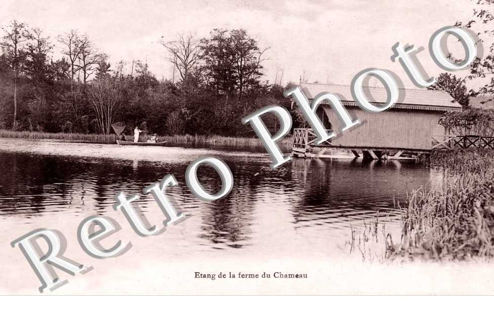 Etang de la ferme du Chameau