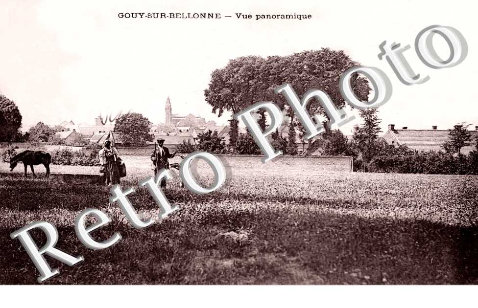 vue panoramique
