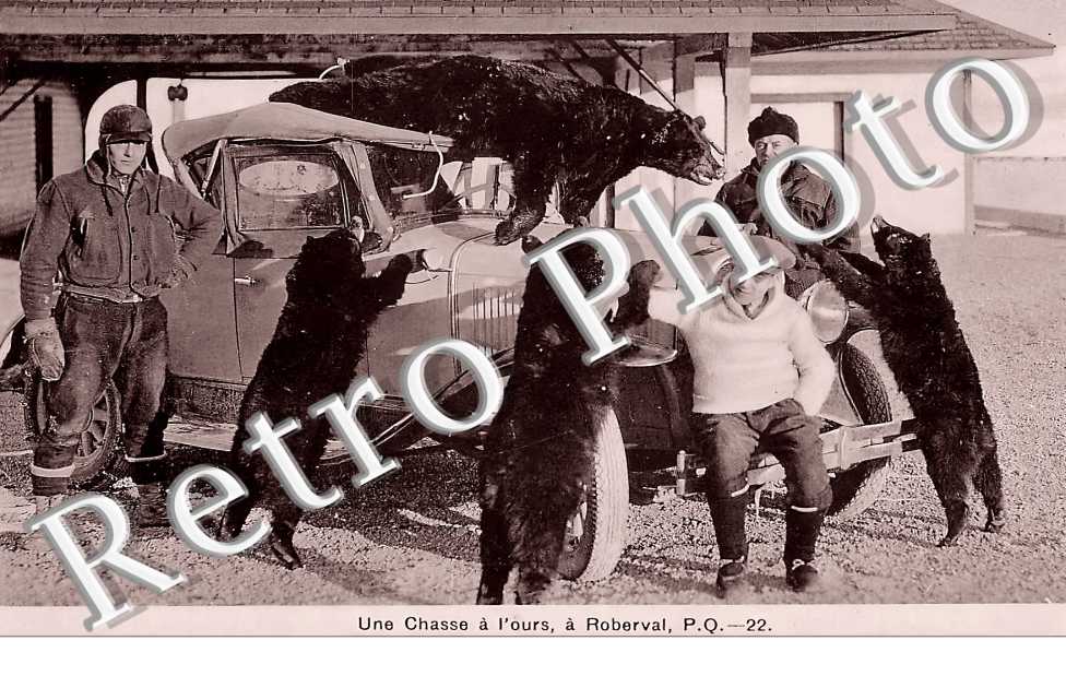 Une chasse à l&#039;ours