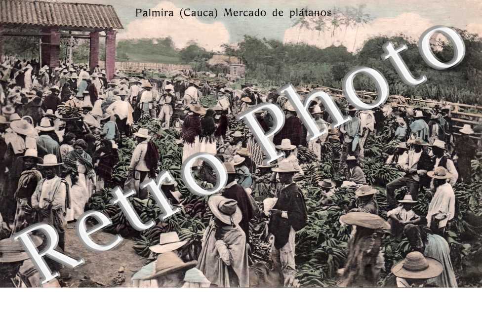 Mercado de platanos