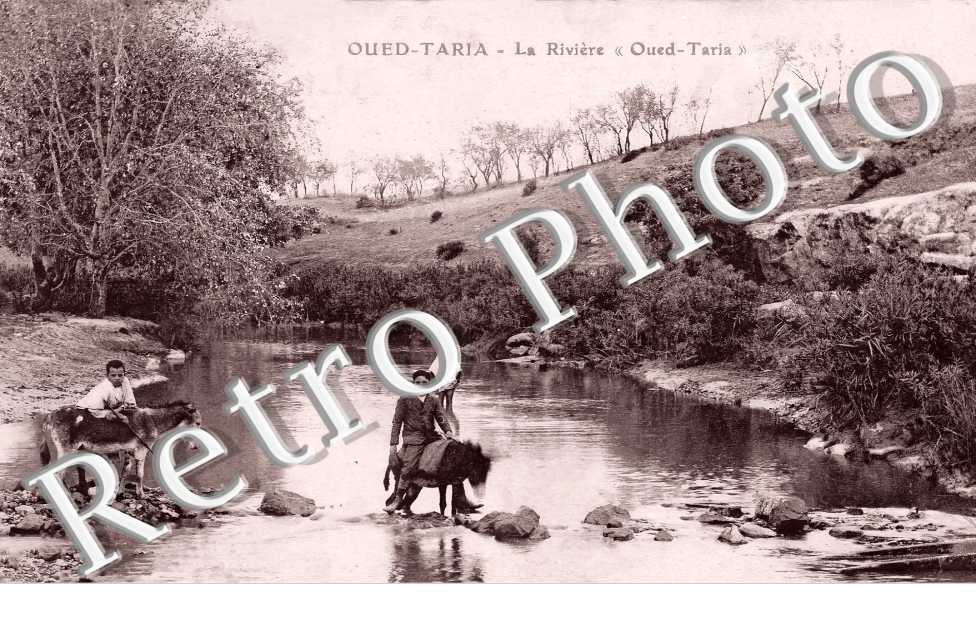 la rivière " Oued-Taria "