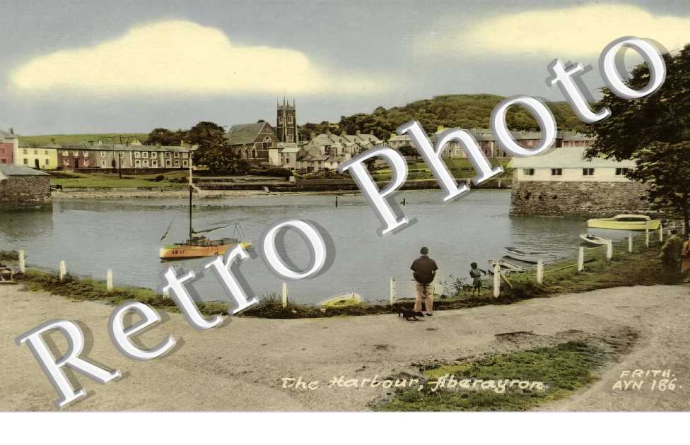 The Harbour