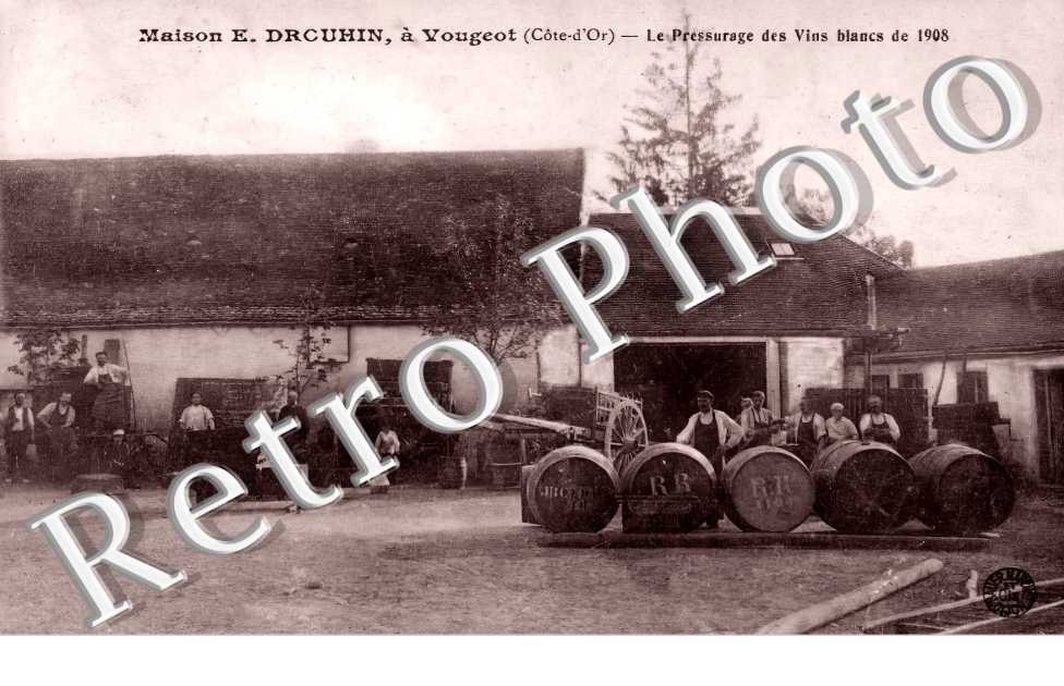 Maison E. Drouhin. Le pressurage des Vins blancs en 1908