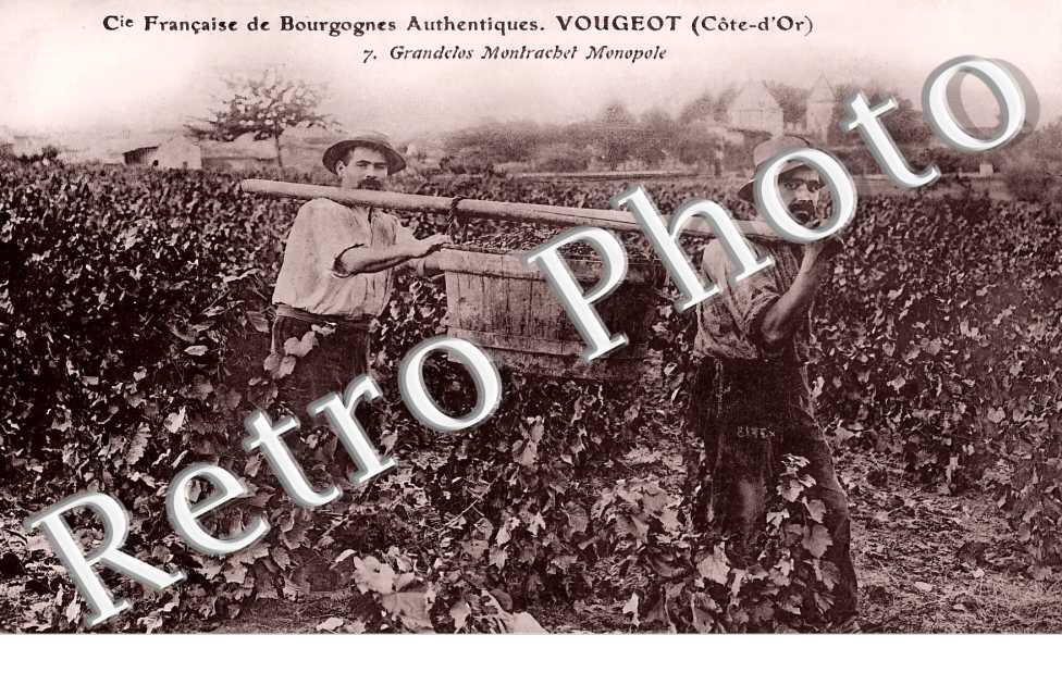 Grandclos Montrachet Monopole