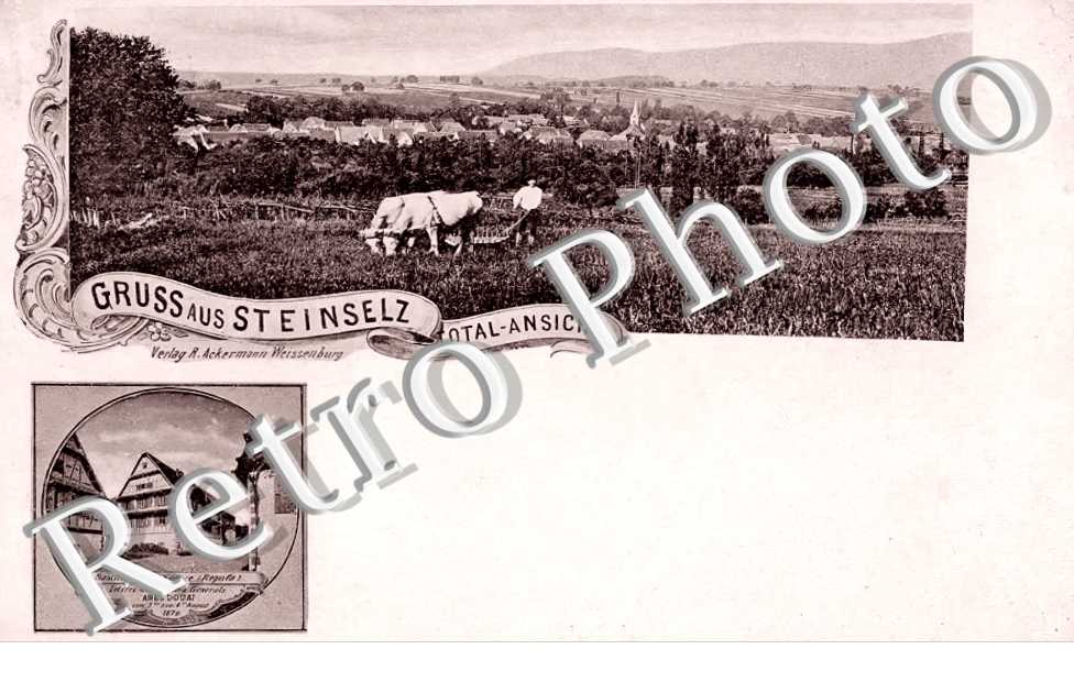 vue générale