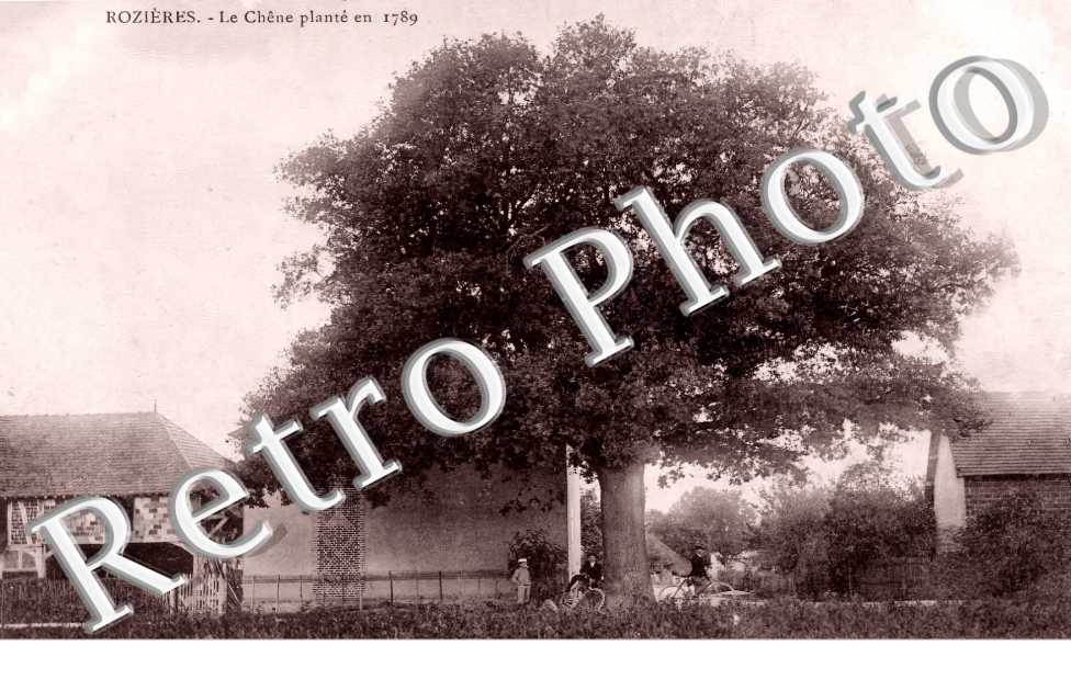 RoziÃ¨res. Le chÃªne plantÃ© en 1789