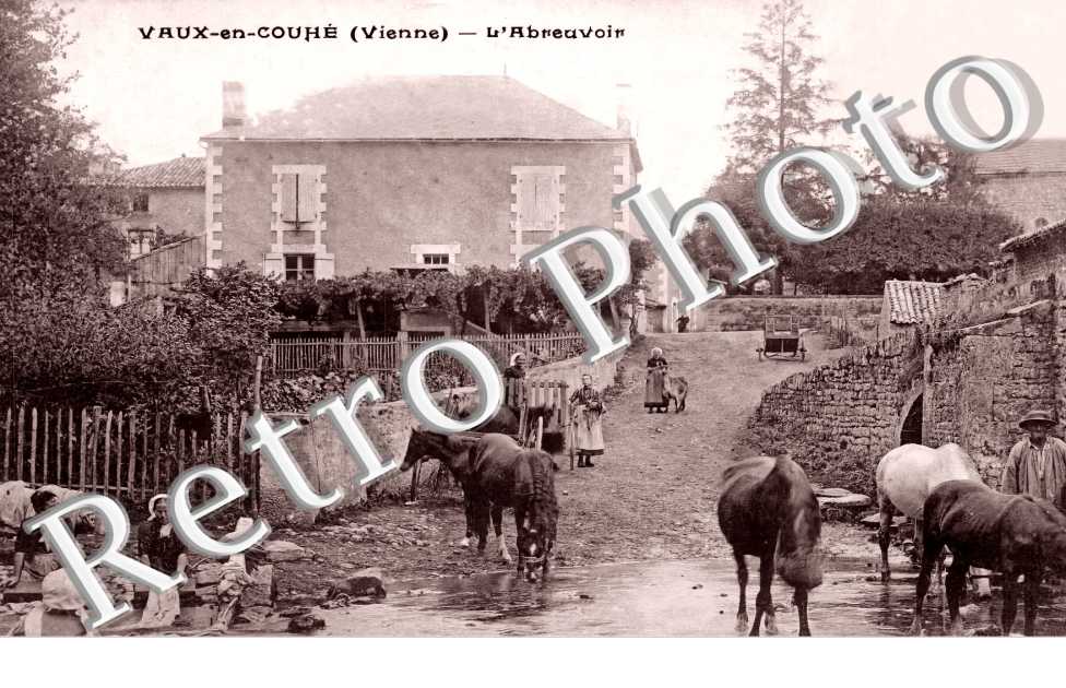 l'abreuvoir