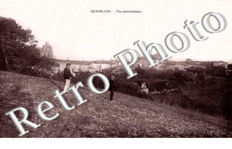 vue panoramique